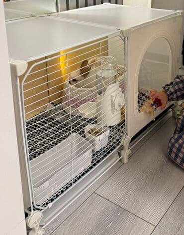 Dovsan qefesi pisik qefesi mini heyvan qefesi lalafo.az -da Dovsan qefesi pisik qefesi mini heyvan qefesi