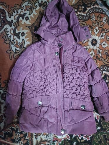 Kurtkalar lalafo.az -da Kurtkalar