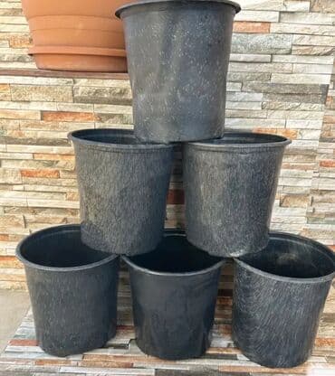 Plastik,kauçuk gül və dibçək qabları satılır. Cəmisi 60 lalafo.az -da Plastik,kauçuk gül və dibçək qabları satılır. Cəmisi 60