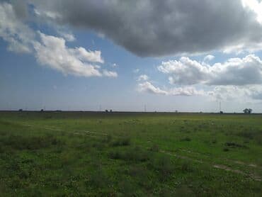 Keyfiyetli torpaqdi suyu basnin usdundedi terevez ve bag ekmeye lalafo.az -da Keyfiyetli torpaqdi suyu basnin usdundedi terevez ve bag ekmeye