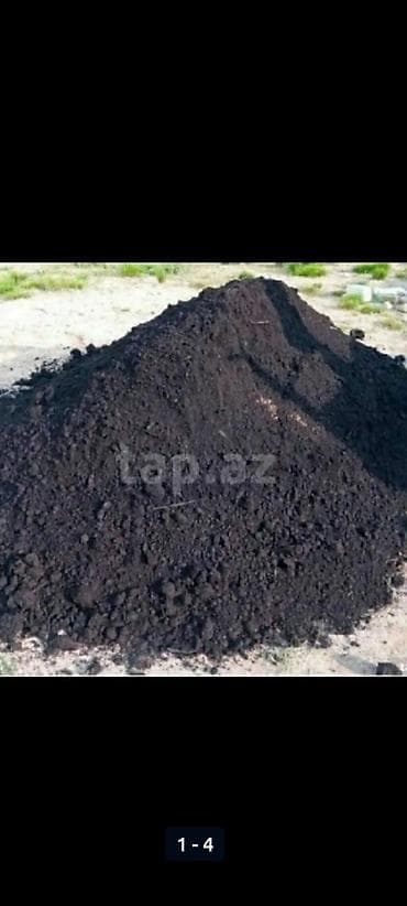 Salam qara torpağ meşə torpağ şamaxı ismayıllı erazilerinden yığılır lalafo.az -da Salam qara torpağ meşə torpağ şamaxı ismayıllı erazilerinden yığılır