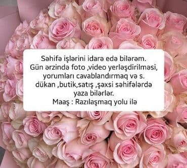 İnstagram səhifəsini idarə edilməsini istəyən varsa,yazsın. kimsə lalafo.az -da İnstagram səhifəsini idarə edilməsini istəyən varsa,yazsın. kimsə