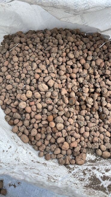 Потолок: Tikinti matrialları ən ucuz qiymətə qum çınqıl şeben qara qum rəquşqa at lalafo.az — 14 Потолок: Tikinti matrialları ən ucuz qiymətə qum çınqıl şeben qara qum rəquşqa — 14