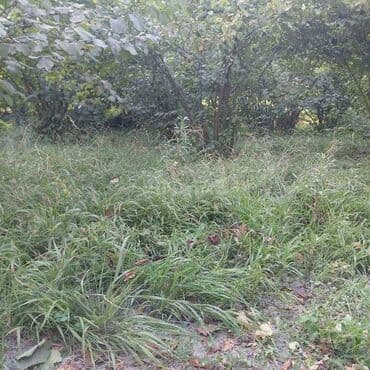 Гаражи: 12 соток, Для строительства, Собственник, Купчая at lalafo.az — 9 Гаражи: 12 соток, Для строительства, Собственник, Купчая — 9