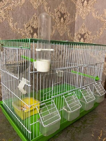 Quş qəfəsi və aksesuar dəsti - Material: metal barmaqlıqlar, plastik lalafo.az -da Quş qəfəsi və aksesuar dəsti - Material: metal barmaqlıqlar, plastik