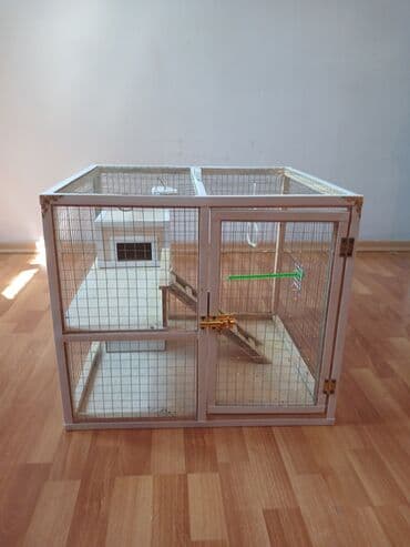 Salam Quş üçün, Cunqarik üçün, Dovşan üçün, Siçan üçün, Xomyak üçün lalafo.az -da Salam Quş üçün, Cunqarik üçün, Dovşan üçün, Siçan üçün, Xomyak üçün