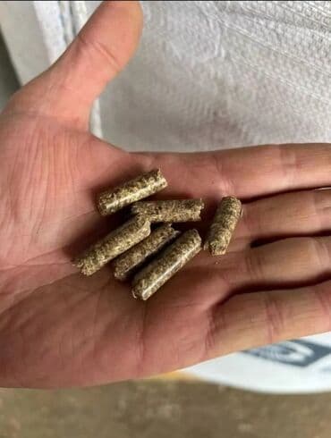 ПО для бизнеса: Patron yemi hazırlayan maşınlar satılır. ( Гранулятор ). Maşınların at lalafo.az — 10 ПО для бизнеса: Patron yemi hazırlayan maşınlar satılır. ( Гранулятор ). Maşınların — 10