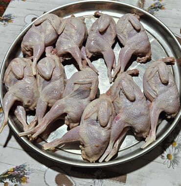 Ləpələr: Məhsul: Təmizlənmiş və qablaşdırılmış bıldırcın Təsvir: - Tam lalafo.az -da — 4 Ləpələr: Məhsul: Təmizlənmiş və qablaşdırılmış bıldırcın Təsvir: - Tam — 4