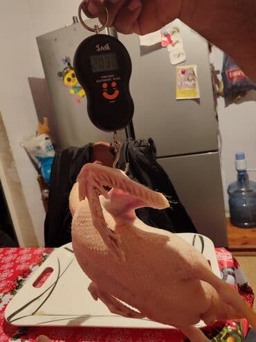 Temiz çeki 2.30 - Çəkisi: təqribən 2.03 kq (elektron tərəzidə lalafo.az -da Temiz çeki 2.30 - Çəkisi: təqribən 2.03 kq (elektron tərəzidə