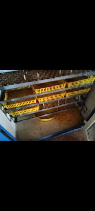 Доильные аппараты: Иран, Полностью автоматическая at lalafo.az — 4 Доильные аппараты: Иран, Полностью автоматическая — 4