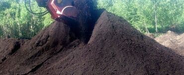 Другие растения: Qara torpaq İsmayıllı, Şamaxı, Mərəzə rayonları ərazisindən istəyə at lalafo.az — 5 Другие растения: Qara torpaq İsmayıllı, Şamaxı, Mərəzə rayonları ərazisindən istəyə — 5