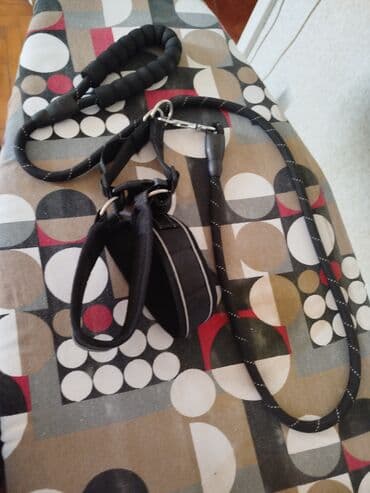 1 ay, Erkek, Sənədli, Ünvandan götürmə, Pulsuz çatdırılma lalafo.az -da 1 ay, Erkek, Sənədli, Ünvandan götürmə, Pulsuz çatdırılma