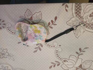 5 metr it və pişik ücün (barter zeng gedib gelen lboy telefonla lalafo.az -da 5 metr it və pişik ücün (barter zeng gedib gelen lboy telefonla