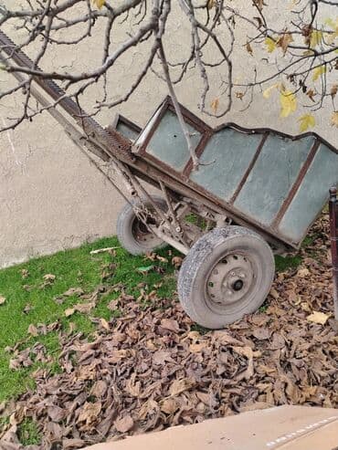 At arabaları lalafo.az -da At arabaları