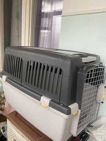 Təyyarə ilə heyvan daşıma konteyneri (it və ya pişik üçün), iri lalafo.az -da Təyyarə ilə heyvan daşıma konteyneri (it və ya pişik üçün), iri