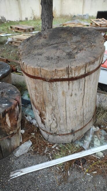 20 ədəddən çoxdur çox yerə yararlıdır köçür hazırlayablara odun kimi lalafo.az -da 20 ədəddən çoxdur çox yerə yararlıdır köçür hazırlayablara odun kimi