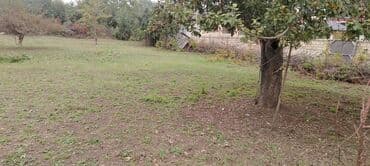 12 sot, Kənd təsərrüfatı, Mülkiyyətçi, Kupça (Çıxarış) lalafo.az -da 12 sot, Kənd təsərrüfatı, Mülkiyyətçi, Kupça (Çıxarış)