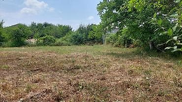 28 sot, Tikinti lalafo.az -da 28 sot, Tikinti