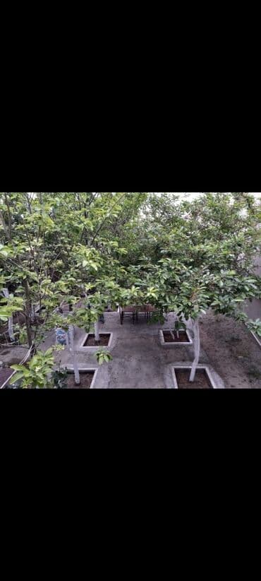 Ramana qəs. 3 otaqlı, 90 kv. m, Orta təmir lalafo.az -da Ramana qəs. 3 otaqlı, 90 kv. m, Orta təmir