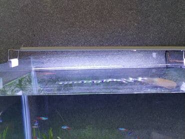 Uzunluqu 47 sm, 65 sm ya kimi uzanir, 2 azn, super işıqdı lalafo.az -da Uzunluqu 47 sm, 65 sm ya kimi uzanir, 2 azn, super işıqdı