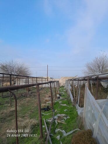 3 eden parnik satilit 1500 metir torba 1 ci 68 metir uzunu 11 eni 2 lalafo.az -da 3 eden parnik satilit 1500 metir torba 1 ci 68 metir uzunu 11 eni 2