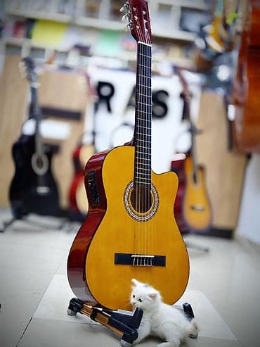 Klassik gitara, Yeni, Ünvandan götürmə lalafo.az -da Klassik gitara, Yeni, Ünvandan götürmə