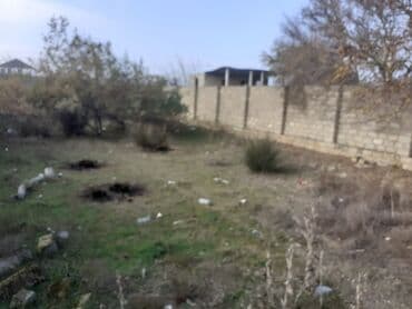 Tikinti lalafo.az -da Tikinti