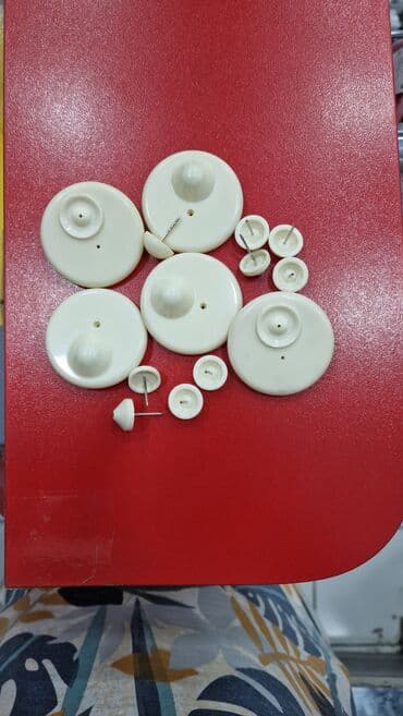 Ağ rəngli plastik paltar təhlükəsizlik etiketləri (anti-oğurluq lalafo.az -da Ağ rəngli plastik paltar təhlükəsizlik etiketləri (anti-oğurluq