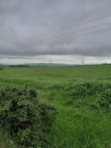 4500 sot, Kənd təsərrüfatı, Mülkiyyətçi, Kupça (Çıxarış) lalafo.az -da 4500 sot, Kənd təsərrüfatı, Mülkiyyətçi, Kupça (Çıxarış)