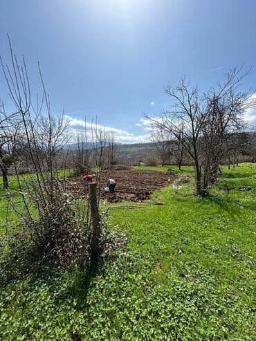 20 sot, Kənd təsərrüfatı, Mülkiyyətçi, Kupça (Çıxarış) lalafo.az -da 20 sot, Kənd təsərrüfatı, Mülkiyyətçi, Kupça (Çıxarış)