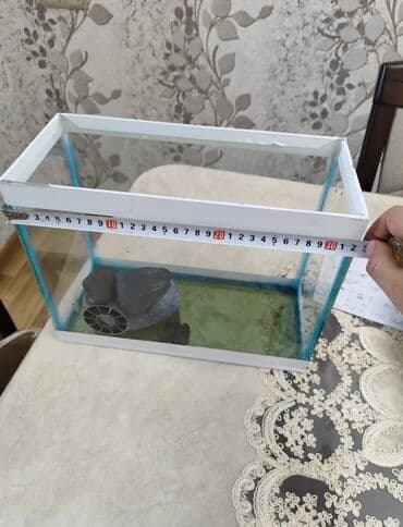 Şəffaf şüşədən hazırlanmış, ağ haşiyəli kiçik düzbucaqlı akvarium lalafo.az -da Şəffaf şüşədən hazırlanmış, ağ haşiyəli kiçik düzbucaqlı akvarium