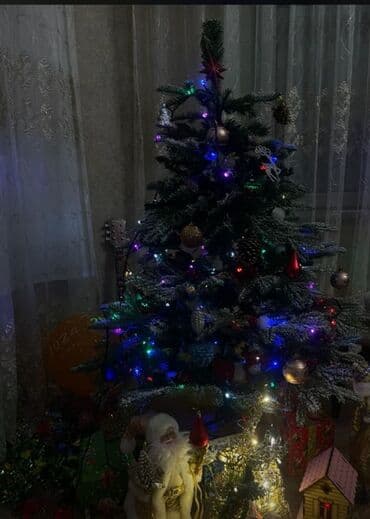 Qarli yolka Kecen il 145 manata alinib Ustunde 10-15 oyuncag verilecek lalafo.az -da Qarli yolka Kecen il 145 manata alinib Ustunde 10-15 oyuncag verilecek