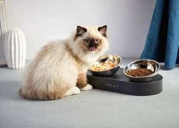 Миски для воды и еды: Petkit Fresh Nano Metal (Adjustable Double Bowls ) (P5201) Yemək qabı at lalafo.az — 1 Миски для воды и еды: Petkit Fresh Nano Metal (Adjustable Double Bowls ) (P5201) Yemək qabı — 1