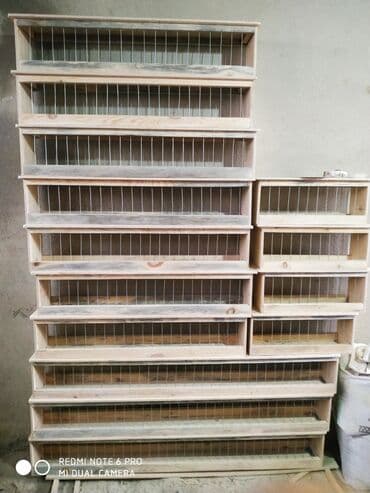 Göyərçinlər üçün dənqabı. qiymət ölçüyə görə dəyişir. ünvan Şüvəlan lalafo.az -da Göyərçinlər üçün dənqabı. qiymət ölçüyə görə dəyişir. ünvan Şüvəlan