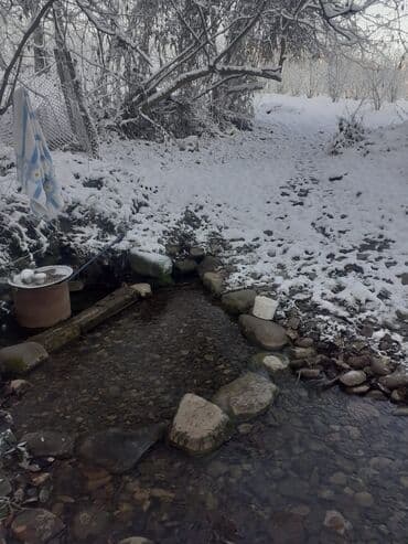 Ландшафтные работы: Kupcalı 41 sot torpaq 20 sotda satilir at lalafo.az — 10 Ландшафтные работы: Kupcalı 41 sot torpaq 20 sotda satilir — 10