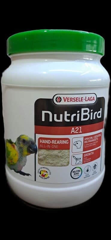 Papuqayi tutu quwun karellani elnen wpilisnen qawiqnan yedizdirmek lalafo.az -da Papuqayi tutu quwun karellani elnen wpilisnen qawiqnan yedizdirmek