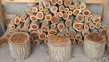 Təmiz, doğranmış odunlar satılır.Fikri ciddi olanlar yazsın lalafo.az -da Təmiz, doğranmış odunlar satılır.Fikri ciddi olanlar yazsın