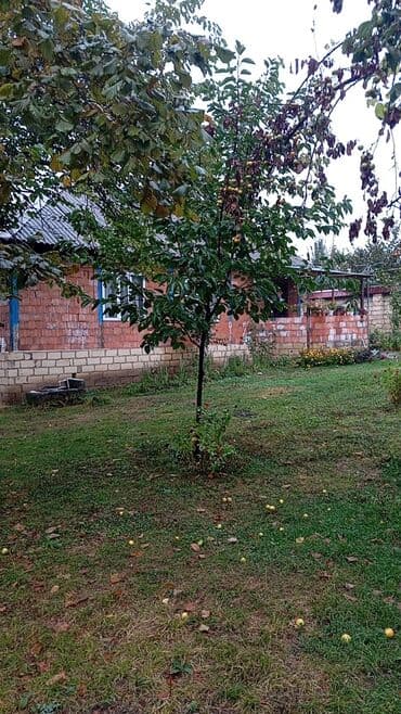 18 sot, Biznes üçün, Mülkiyyətçi, Kupça (Çıxarış) lalafo.az -da 18 sot, Biznes üçün, Mülkiyyətçi, Kupça (Çıxarış)