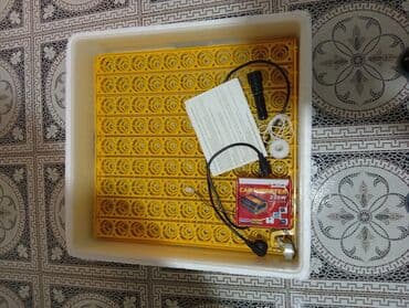 100 yumurta, Azərbaycan, Tam avtomat lalafo.az -da 100 yumurta, Azərbaycan, Tam avtomat