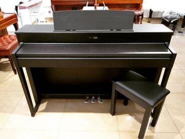 Fleytalar: Piano, Mayga, Rəqəmsal, Yeni, Pulsuz çatdırılma lalafo.az -da — 4 Fleytalar: Piano, Mayga, Rəqəmsal, Yeni, Pulsuz çatdırılma — 4