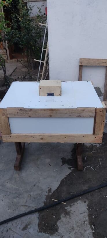 Экстракторы масла: Inkubator yarı aftamat
qiymət:130 AZN
ISTƏYƏ GÖRƏ DƏ YIĞILIR at lalafo.az — 1 Экстракторы масла: Inkubator yarı aftamat
qiymət:130 AZN
ISTƏYƏ GÖRƏ DƏ YIĞILIR — 1