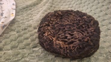 Qaraqul,yenidir,olcusu tenzimlenir lalafo.az -da Qaraqul,yenidir,olcusu tenzimlenir