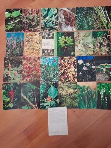 Açıqcalar: 1 штука -50 гяпик. Советские открытки. Есть еще конверты, марки lalafo.az -da — 5 Açıqcalar: 1 штука -50 гяпик. Советские открытки. Есть еще конверты, марки — 5