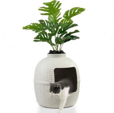 Salam . yenidir . catdirilma ile birge 80 USD basa gelib. 50 AZN lalafo.az -da Salam . yenidir . catdirilma ile birge 80 USD basa gelib. 50 AZN