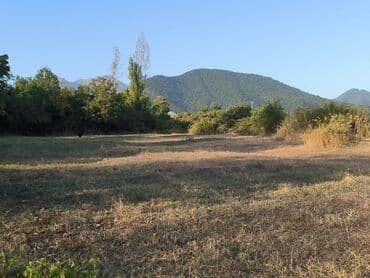 21 sot, Tikinti, Mülkiyyətçi, Kupça (Çıxarış) lalafo.az -da 21 sot, Tikinti, Mülkiyyətçi, Kupça (Çıxarış)