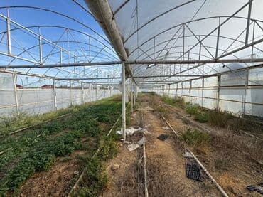 📍 Satılır: metal lom qiymetine deyerinden cox ucuz Hazır İstixana lalafo.az -da 📍 Satılır: metal lom qiymetine deyerinden cox ucuz Hazır İstixana