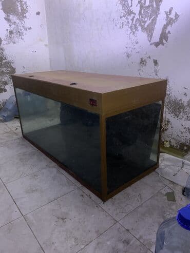 Dördbucaq akvarium, Boş, 300 l, Ünvandan götürmə lalafo.az -da Dördbucaq akvarium, Boş, 300 l, Ünvandan götürmə