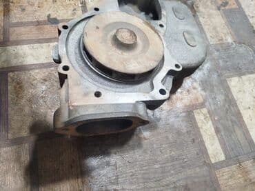 MAN Man, 2024 il, Orijinal, Yeni lalafo.az -da MAN Man, 2024 il, Orijinal, Yeni