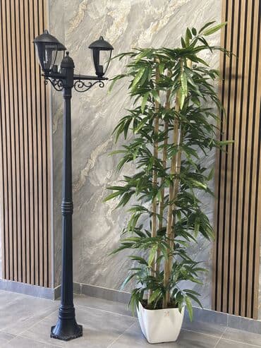 Bağ işıqı Yerüstü lalafo.az -da Bağ işıqı Yerüstü