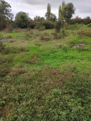 10 sot, Kupça (Çıxarış) lalafo.az -da 10 sot, Kupça (Çıxarış)